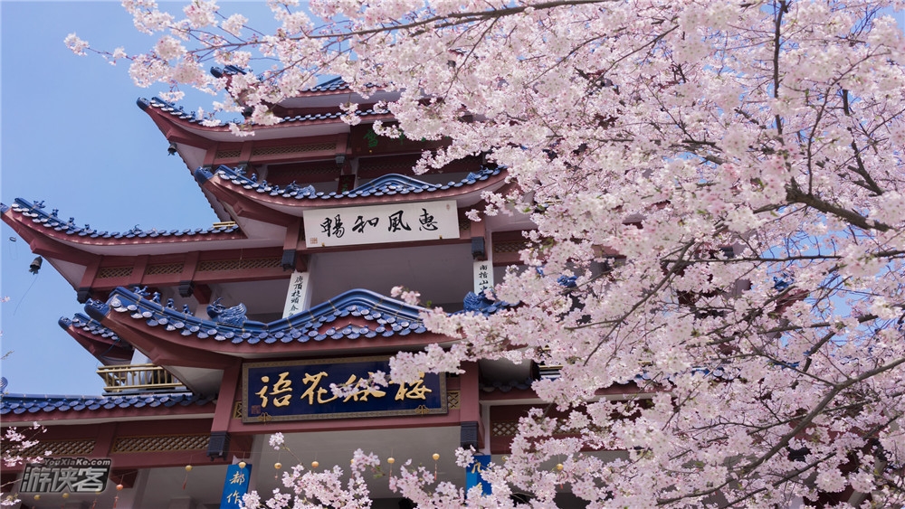 【独揽鼋头渚·樱花2日】4.6-7清明假期,“樱”你而来,拈花湾网红5钻客栈,夜樱水灯会,花季限定体验,2019独揽鼋头渚全新升级体验,独家赠送和风风铃&导游讲解(无锡火车站大巴接送,确定成行!)