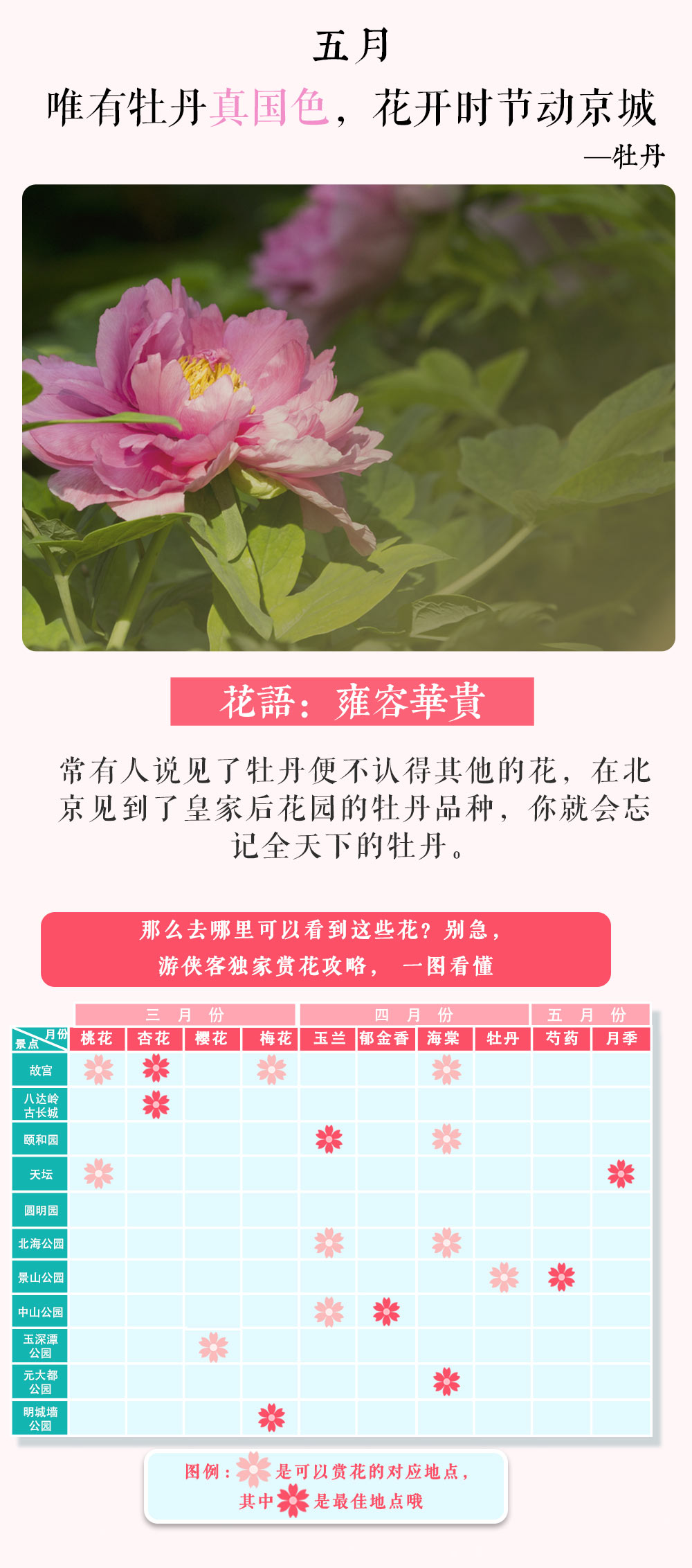 【世界遗产在北京·春色篇】到皇帝家的御花园赏花，不负这个春天、故宫-八达岭古长城-天坛-颐和园-明十三陵-鸟巢-后海-春季赏花圣地打卡、品尝京城小吃、 非物质文化遗产手工体验（轻奢漫游体验5天4夜） - <极致北京城>地道美食、独家玩法、轻奢体验、专业团队、品小吃、逛胡同、抖空竹、扎风筝、舞皮影