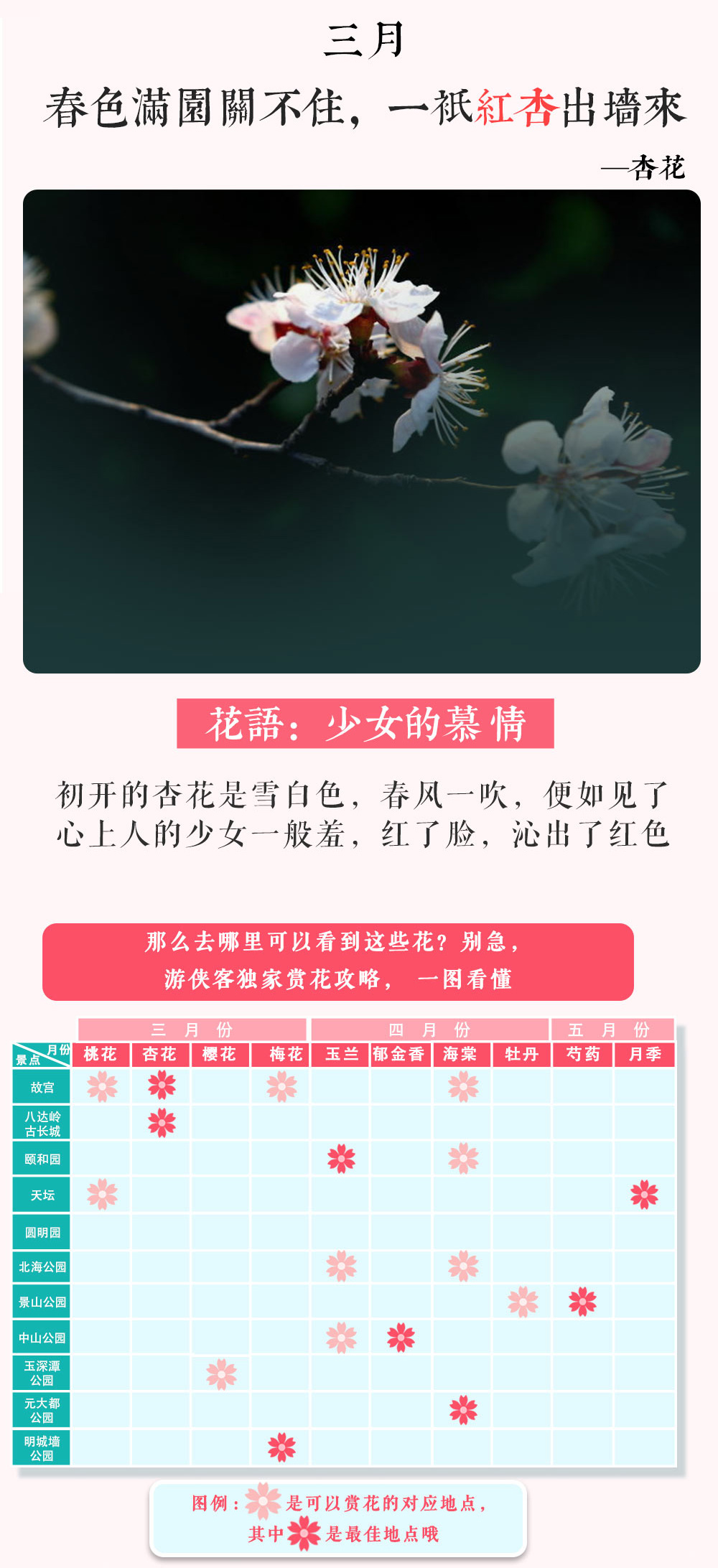 【世界遗产在北京·春色篇】到皇帝家的御花园赏花，不负这个春天、故宫-八达岭古长城-天坛-颐和园-明十三陵-鸟巢-后海-春季赏花圣地打卡、品尝京城小吃、 非物质文化遗产手工体验（轻奢漫游体验5天4夜） - <极致北京城>地道美食、独家玩法、轻奢体验、专业团队、品小吃、逛胡同、抖空竹、扎风筝、舞皮影