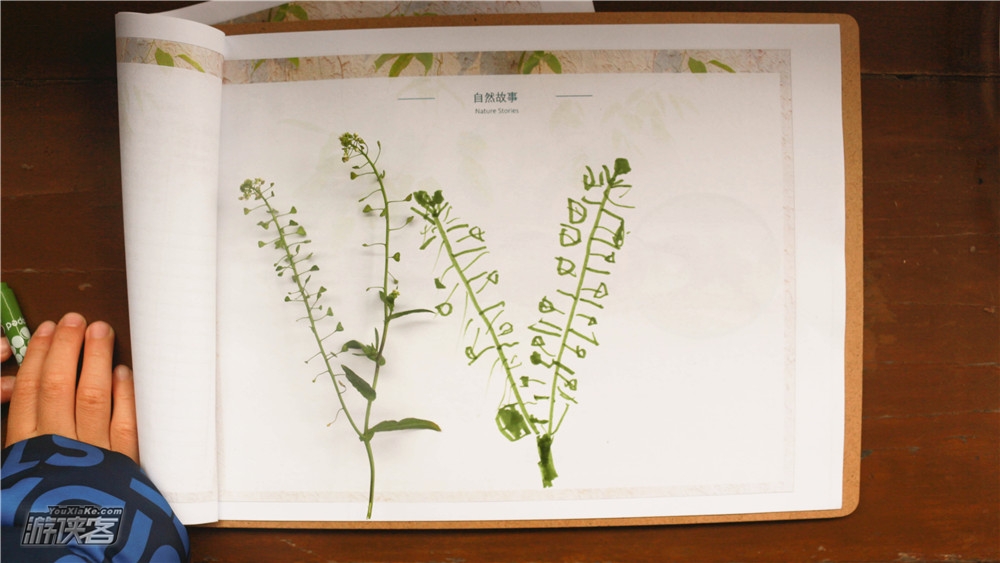 【二十四节气公益课·春生】3.22周日春分节气，春季半日节气观察，赏花踏青，体验自然，春分、清明、谷雨，春日植物园，和孩子一起记录春天体验季节变化！（凭绿码，限收15组）