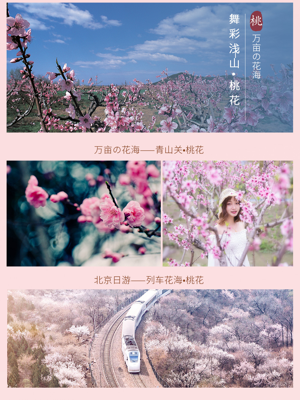 【春天花事·云蒙山杜鹃】5月，映山红遍一面坡 ，“京北小黄山”奇峰异石/林海青松/云海幻景/瀑布潭泉。观赏京郊特有杜鹃花，线路可坐缆车、可爬山 - <云蒙杜鹃> 踏春好去处/徒步穿越赏杜鹃/远眺密云水库