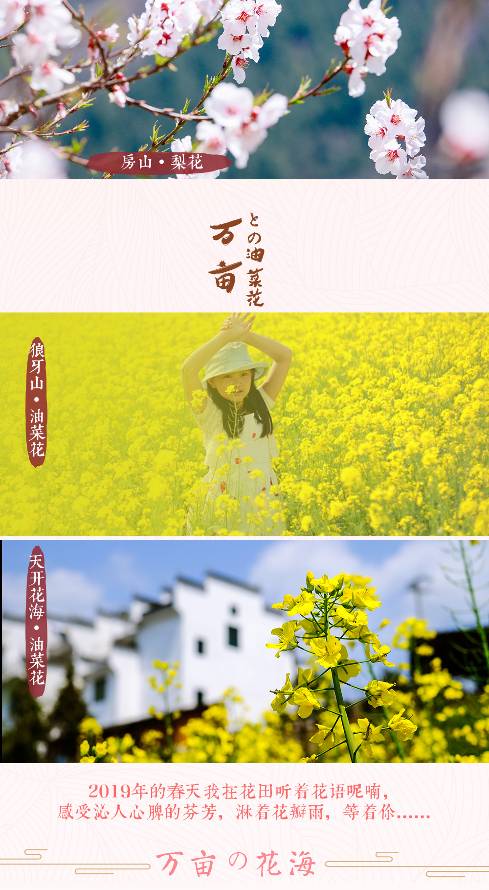 【春天花事·云蒙山杜鹃】5月，映山红遍一面坡 ，“京北小黄山”奇峰异石/林海青松/云海幻景/瀑布潭泉。观赏京郊特有杜鹃花，线路可坐缆车、可爬山 - <云蒙杜鹃> 踏春好去处/徒步穿越赏杜鹃/远眺密云水库