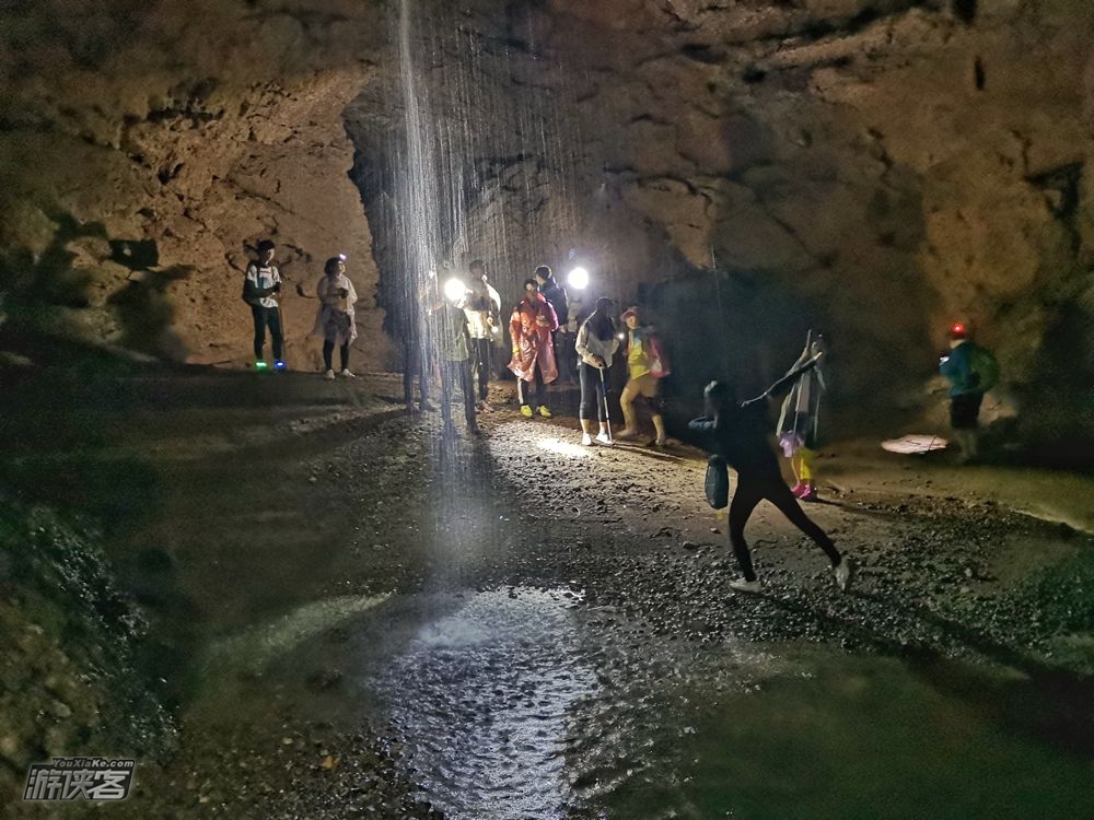 食山味·将军庙林场 森林漫步 挖高山折耳根