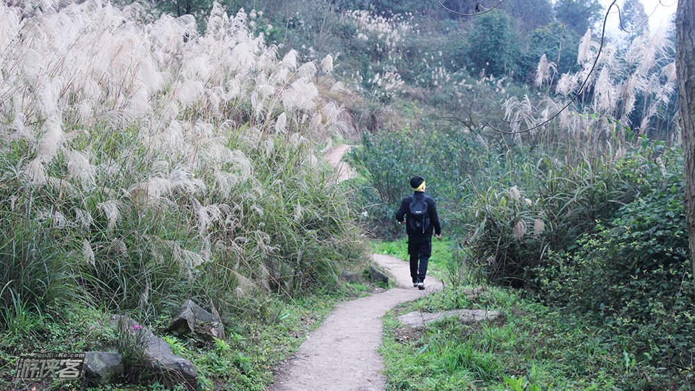 【古道·成渝】9月,踏临古三县交界处,寻银杏树下古老寺庙,重访商贸古驿站,观汉唐巴蜀的古道遗珠(重庆·18km特惠徒步)