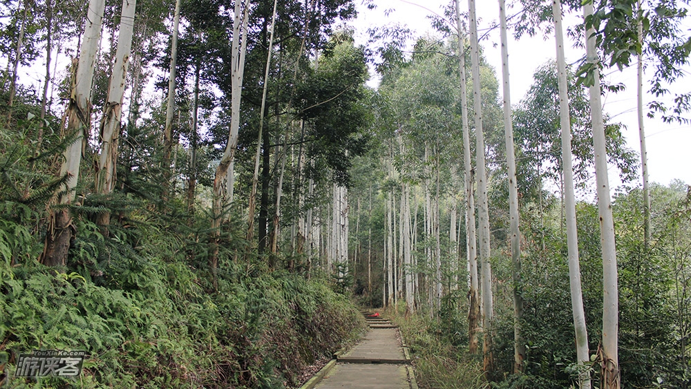 【古道·成渝】9月,踏临古三县交界处,寻银杏树下古老寺庙,重访商贸古驿站,观汉唐巴蜀的古道遗珠(重庆·18km特惠徒步)