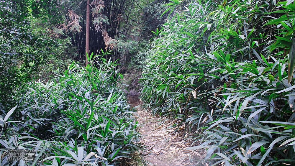 【古道·成渝】9月,踏临古三县交界处,寻银杏树下古老寺庙,重访商贸古驿站,观汉唐巴蜀的古道遗珠(重庆·18km特惠徒步)