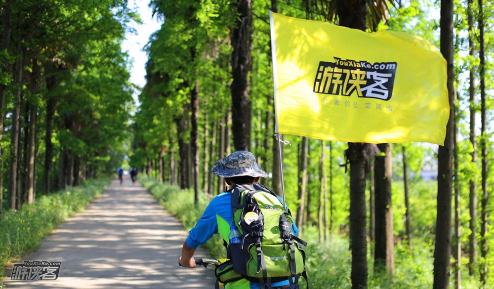 亲子·横沙岛骑行丨湿地抓螃蟹,少年进阶28KM