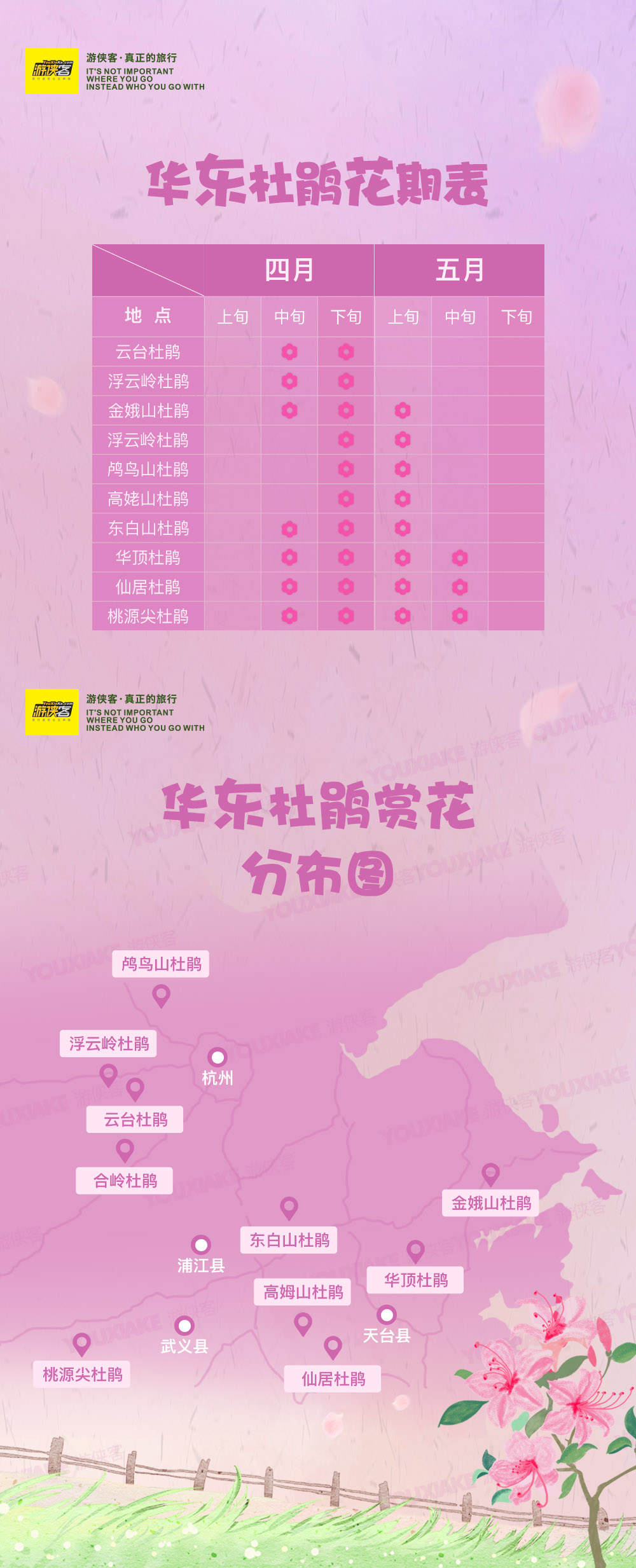 【征途·桃源尖杜鹃】4-5月，穿越浙西南十里万亩杜鹃花海，看漫山红遍，绿春湖-桃源尖穿越（1天1夜，周五晚上出发，周六避开人流，周日可安排休息，节假日安排中午出发） - <桃源尖杜鹃>支持龙游集合，浙西南奇景，十万亩杜鹃花海，强驴穿越之旅