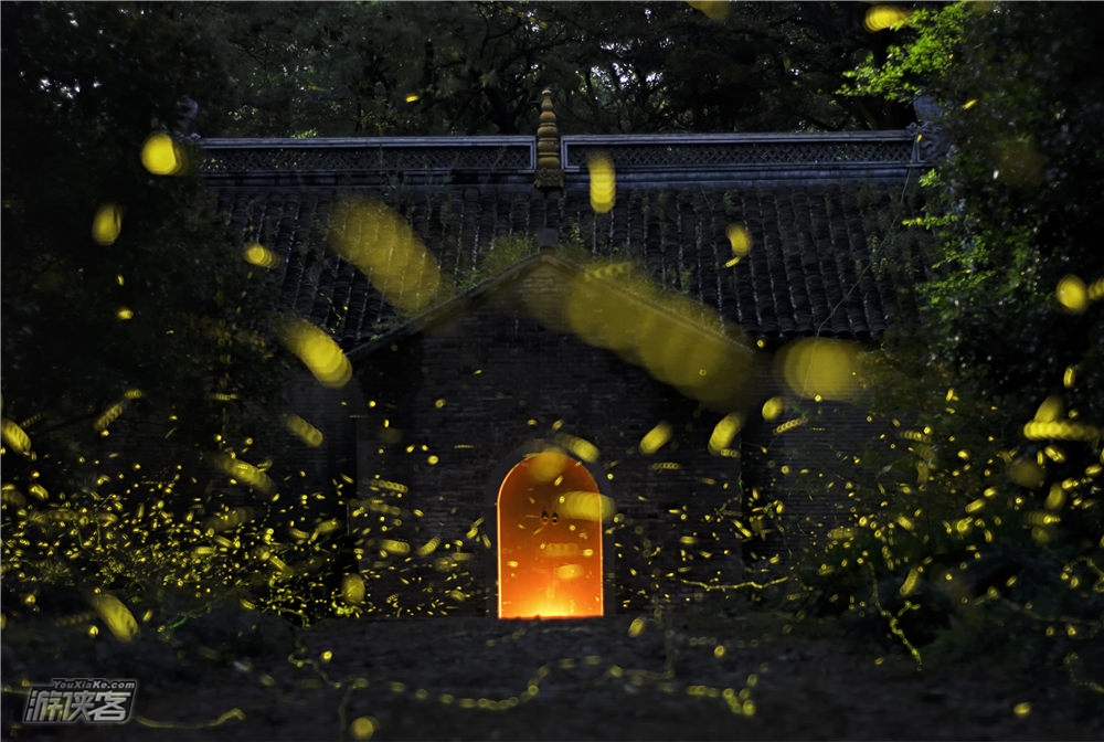 【追光者·沪夏萤火虫】真正满目萤火虫来啦,六一游侠客专供跟着自然老师解读萤火虫,让孩子穿越安徒生童话城堡乐园畅玩,浪漫紫藤长廊,超大淘气堡,糖果列车,幼童都爱这里哦
