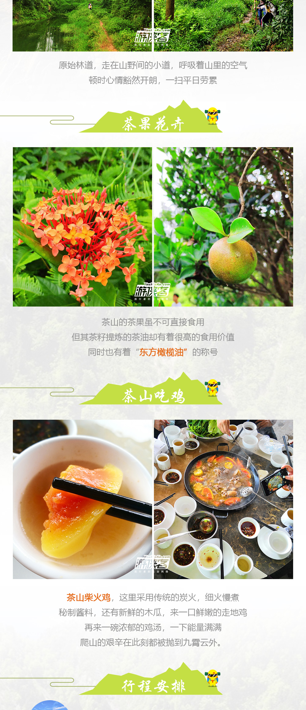 【寻味-茶山】7.18周六： 登高明茶山，寻味特色柴火鸡煲，感受舌尖上的美味！ - <高明茶山>强度适中，山顶享受午餐