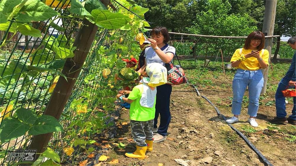 【游侠宝贝-开心小农场】端午假期,一起去乡间钓龙虾,采粽叶,包粽子,喂养小动物,做端午香囊,采摘多样瓜果蔬菜,过一个纯真自然的端午节
