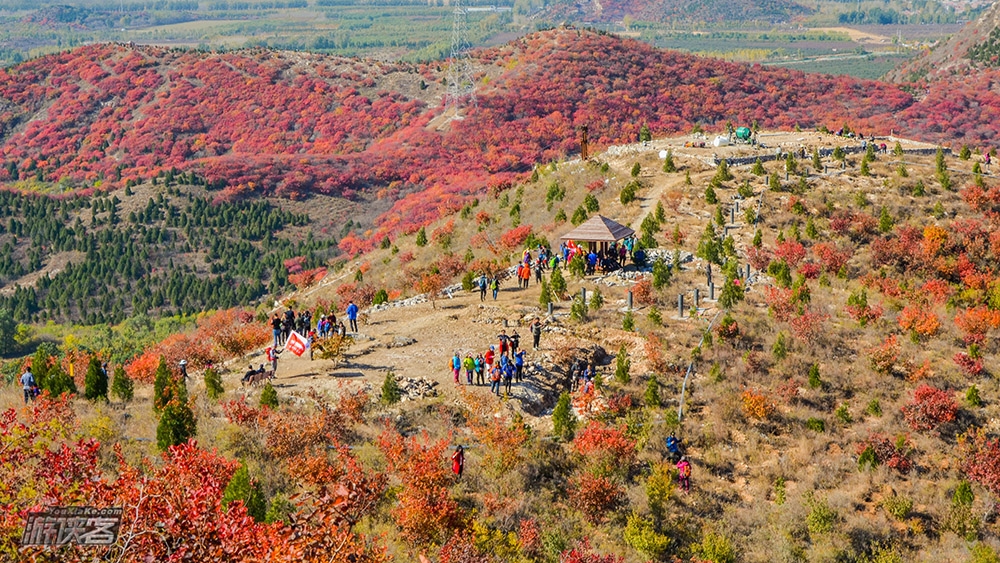 【舞彩浅山】10-11月 金秋徒步顺义舞彩浅山步道 看漫山红遍 寻觅北方小众最美秋色(天津出发休闲赏秋一日游)