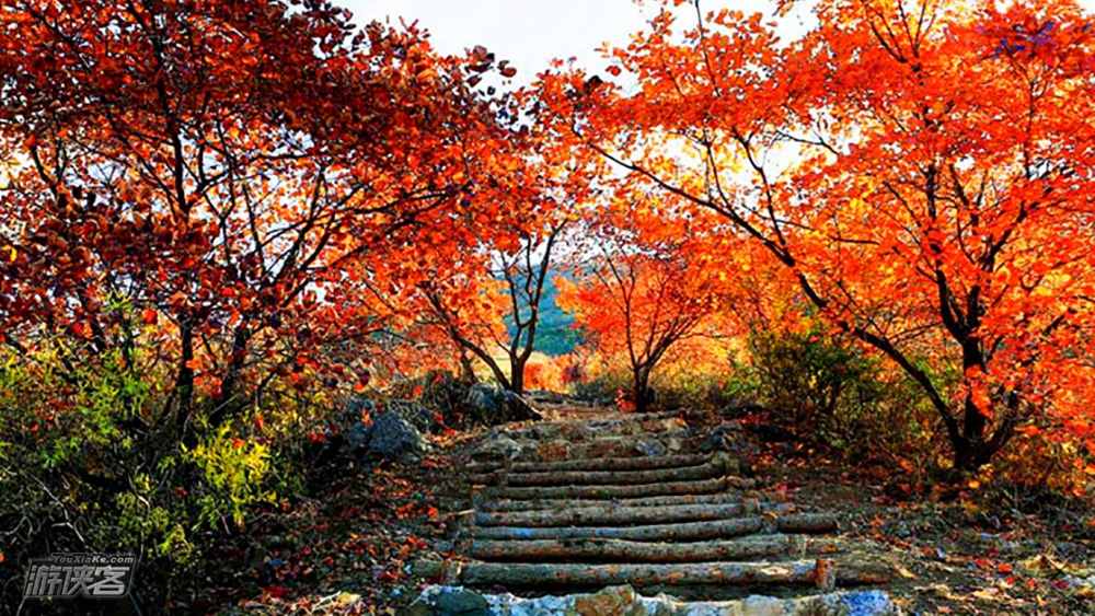 【舞彩浅山】10-11月 金秋徒步顺义舞彩浅山步道 看漫山红遍 寻觅北方小众最美秋色(天津出发休闲赏秋一日游)
