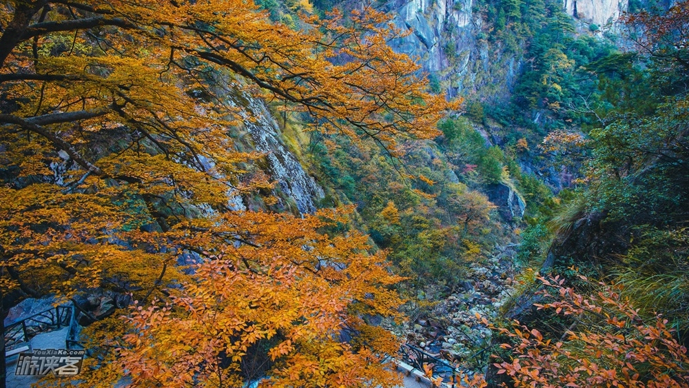 【亲测行动第一期·大明山新线】11.21周六,邀您欣赏临安大明山秋色,徒步山脊线醉美游步道,亲自测评景区新玩法(1日含门票+景交+缆车+午餐,仅此一期,限收25人)