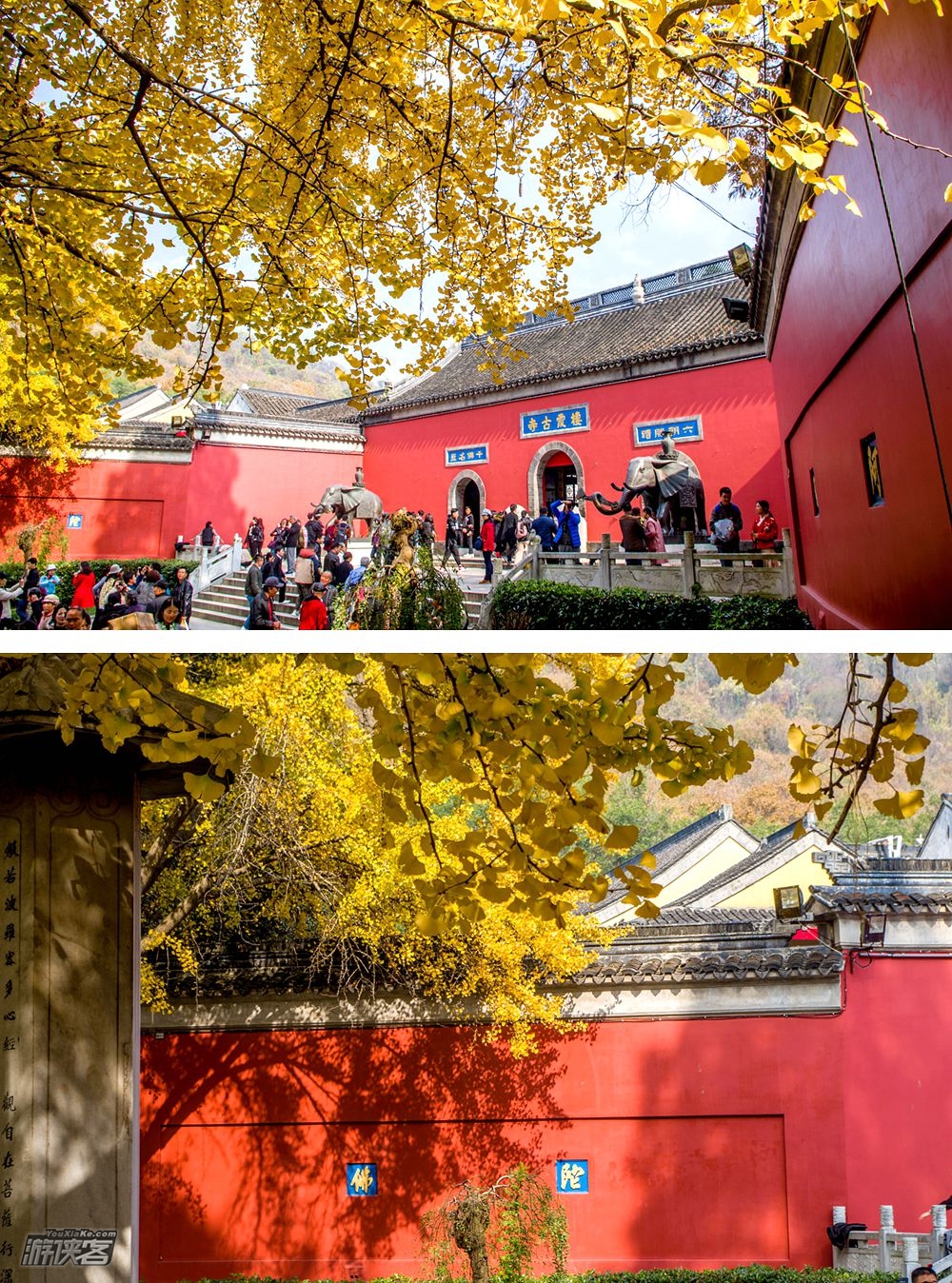 废【南京秋色·栖霞山】特期11-12月,栖霞山红枫节,赏江南秋色,访千年古刹,从凌云栈道到始皇临江,后山秘境寻小众红叶林。(2-10人VIP团)