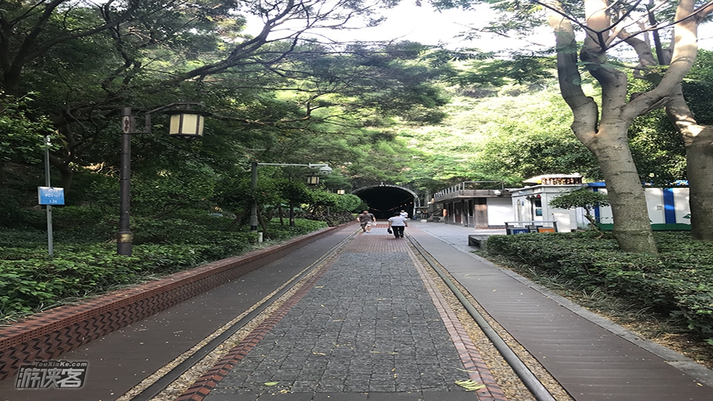 【下班聚好玩 · 夜行】周三晚 空中鹭岛经典海滨线，俯瞰海上繁花，赏独一无二的海上霓虹盛宴，享受专属的海上夜景秘境！