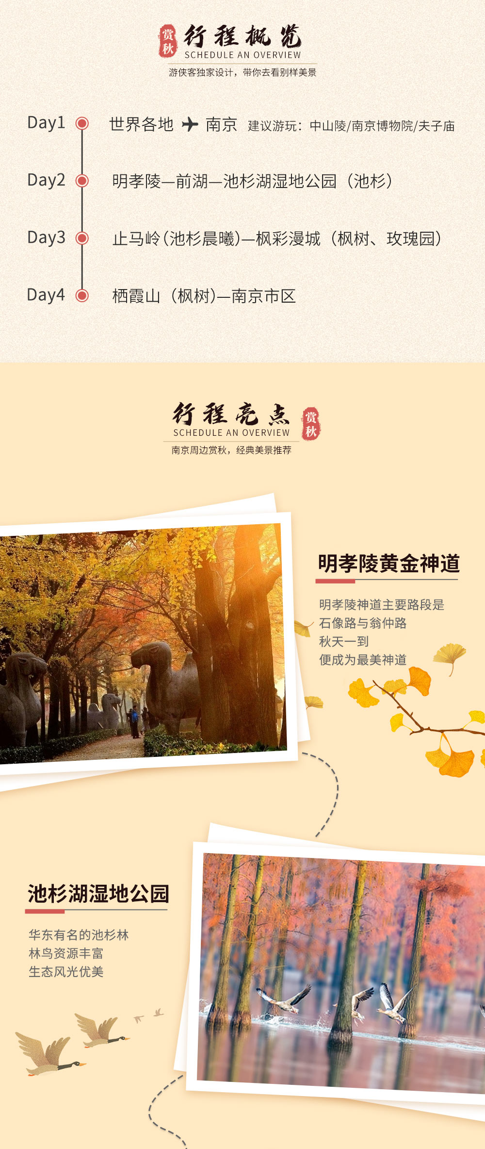 【枫彩金陵·漫步秋摄】11月，秋韵金陵，明孝陵黄金神道-池杉湖湿地公园-止马岭晨曦-枫彩漫城-栖霞红枫林，新晋小众金陵探秋（南京秋色4日采风，新线首发） - <南京秋摄>2019新晋赏秋目的地，华东首屈一指池杉林，汇集两大热门红枫，浪漫千亩玫瑰园