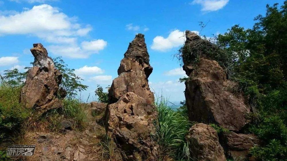 【秋赏·银杏古道·笔架山】11-12月,金色秘境,1日赏秋,探金黄银杏簌簌,1日轻徒,攀锁链登顶笔架山,感受原生野趣,休闲级技术线~(金秋新品,落叶乔木,体验新线)