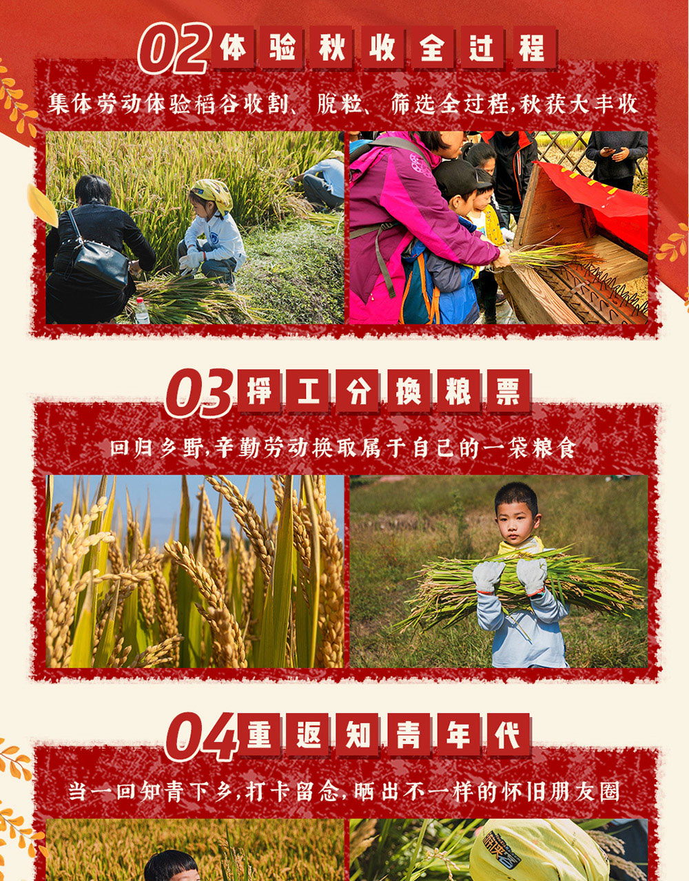 【杭州灵山首届秋收节】亲近土地拥抱自然-“新知青”下乡劳动最光荣-亲子协作-割稻换粮/扎稻草人-重返知青岁月攒工分得粮票-收获自己的一袋粮！ - <游侠首届秋收节，致敬知青岁月>亲子下乡体验秋收，攒工分得粮票辛勤收获一袋粮，劳动最光荣！