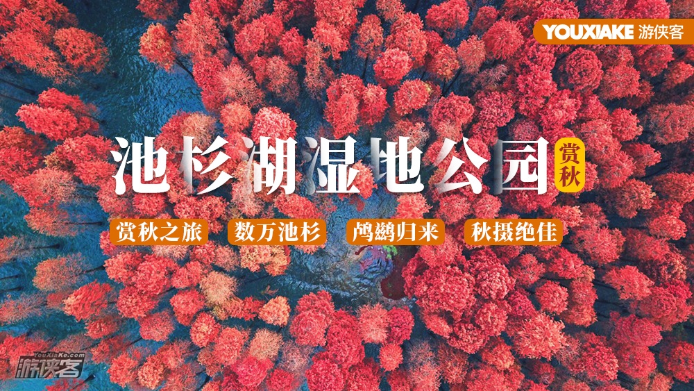 【双十一来了·超优惠抵用券】 双十一特供!79元抵100元!可以用至2019年底,南京出发任意户外休闲线路/亲子线路~即买即用,实惠游起来!