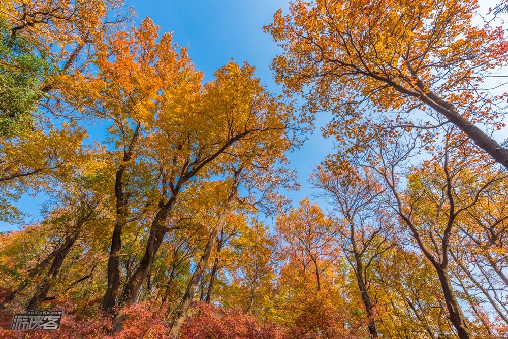 【南京玩乐·栖霞山门票】2019年红枫节,南京栖霞山旺季门票(成人与儿童老人半价票两种套餐),栖霞寺+栖霞山一票全含,旺季提前预定(10-12月)