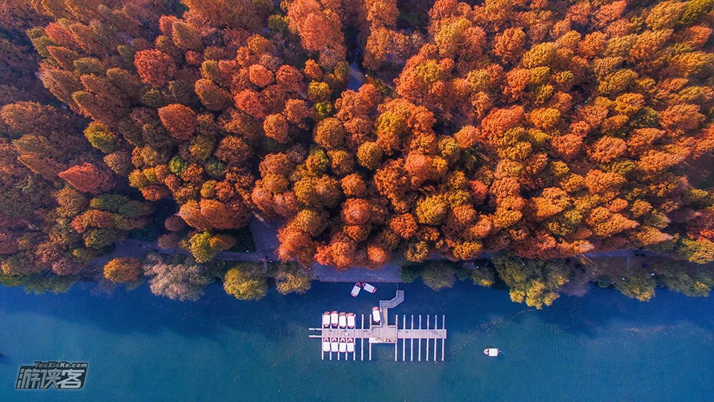 【city-photo航拍西湖秋色】11月 航拍训练营，飞出新高度，资深航拍导师张力带你航拍西湖最美秋色（每批限六人）
