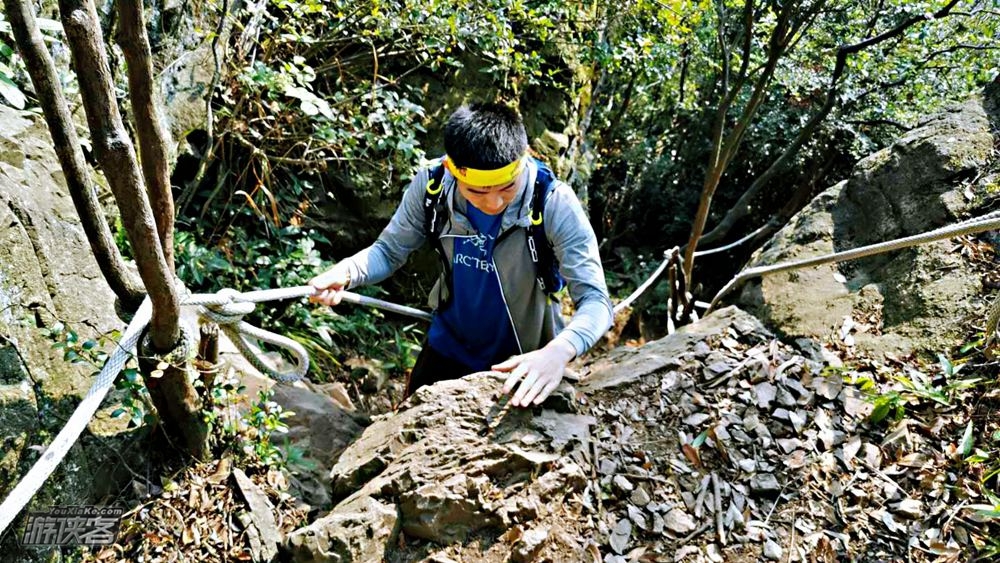 【秋赏·银杏古道·笔架山】11-12月,金色秘境,1日赏秋,探金黄银杏簌簌,1日轻徒,攀锁链登顶笔架山,感受原生野趣,休闲级技术线~(金秋新品,落叶乔木,体验新线)
