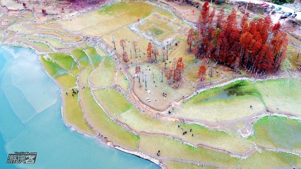 【秋染·仙居谷坦】11-12月,斑斓色彩染透深秋,探访谷坦红树林,皤滩古镇感受历史的厚重,打卡仙居八景苍岭丹枫,古婺州遗址沉醉晚霞红日