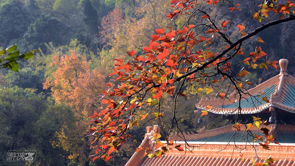 【徒步美食腐败 · 圭峰山】12.29 周日 确定成行 ：徒步江门第一峰圭峰山，农庄鸭嘴鱼大餐，户外游玩也要享受腐败（1日游）