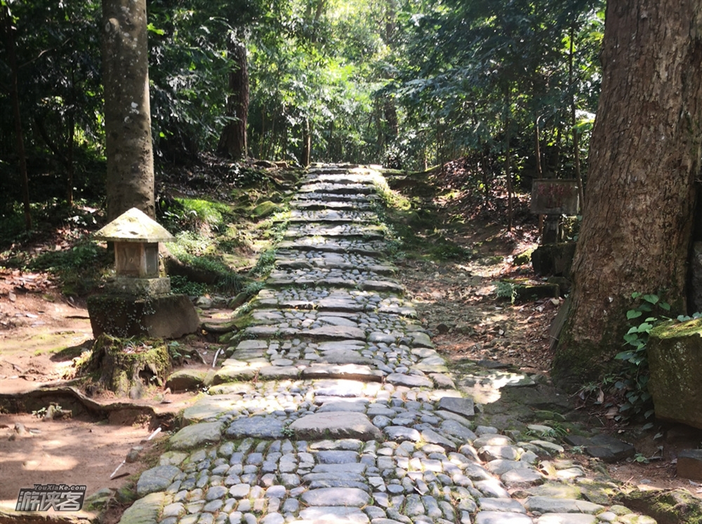【霞客古道】11-11月,徒步天台霞客古道,访天台佛境,国清寺-高明寺-智者塔寺环线,拜访天台祖庭,夜宿千年古刹