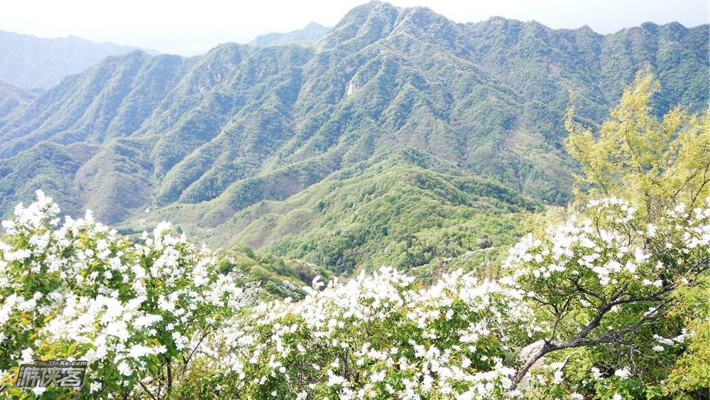 【免费公益· 小五台】4.5清明节免费户外活动;春日游之,俯瞰关中,一展平畴,沃野千里(名额有限,欲报从速!)