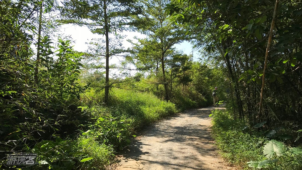佛山西平岭一日登高