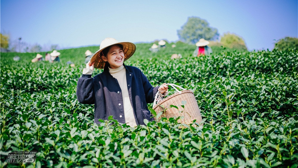 【好评热销·独享贡山岛】新增5.3/5.5，乘风上岛，全新升级，打卡《都挺好》茶园，采茶品茶-茶田寻宝-自制三明治-彩绘风筝-茶田放飞-自然手作-收集桃胶（每日限流）