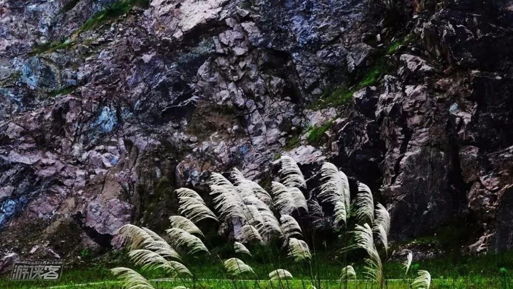【溧阳秘境·梅岭徒步】6.26端午假期,探寻溧阳秘境:梅岭古村;打卡平桥水坝,赏千年古树,寻找梅岭玉(小众体验,8km环线,绿码出行)