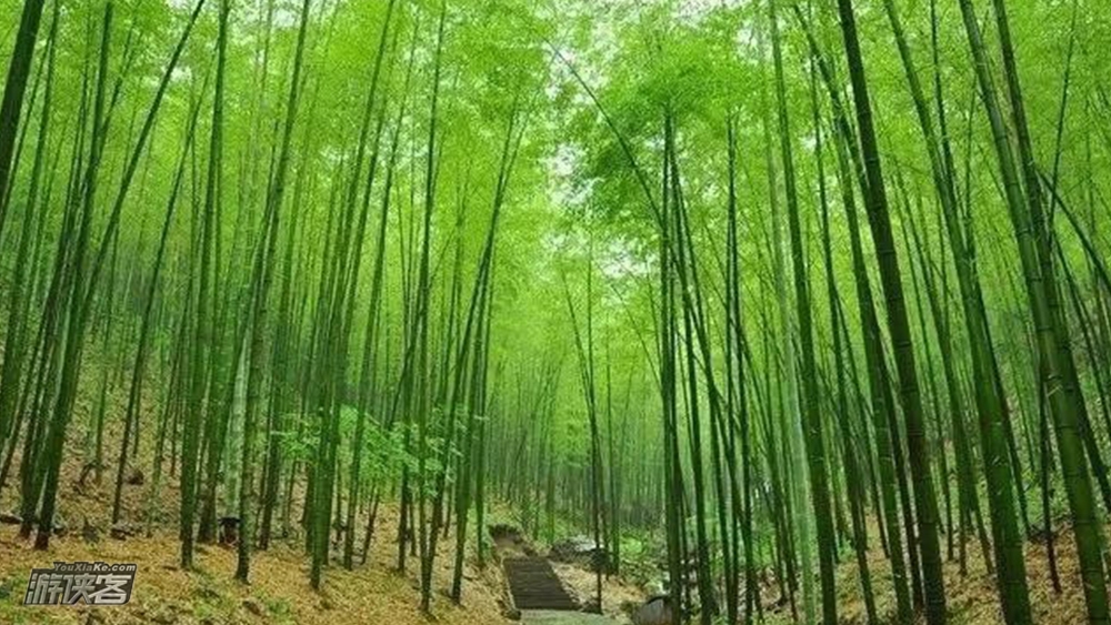 【溧阳秘境·梅岭徒步】6.26端午假期,探寻溧阳秘境:梅岭古村;打卡平桥水坝,赏千年古树,寻找梅岭玉(小众体验,8km环线,绿码出行)