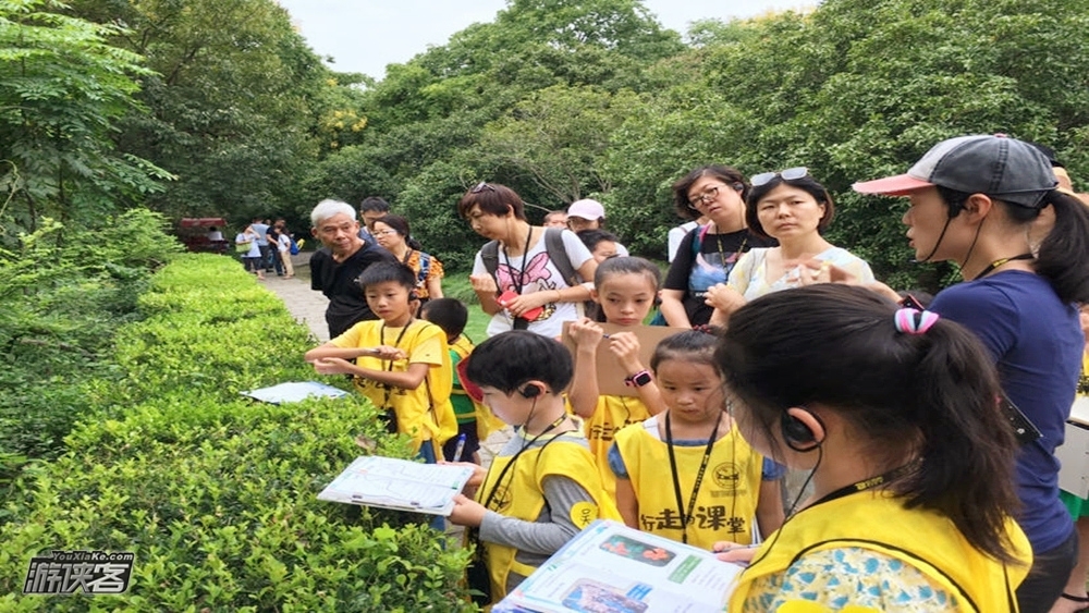 【自然教育·植物园趣识鸟】守护自然,精品观鸟初阶课程,漫步杭州植物园,跟随观鸟达人,识林地鸟类,了解鸟类生态,了解鸟巢,了解鸟类行为,玩转植物园!(亲子半日课程)