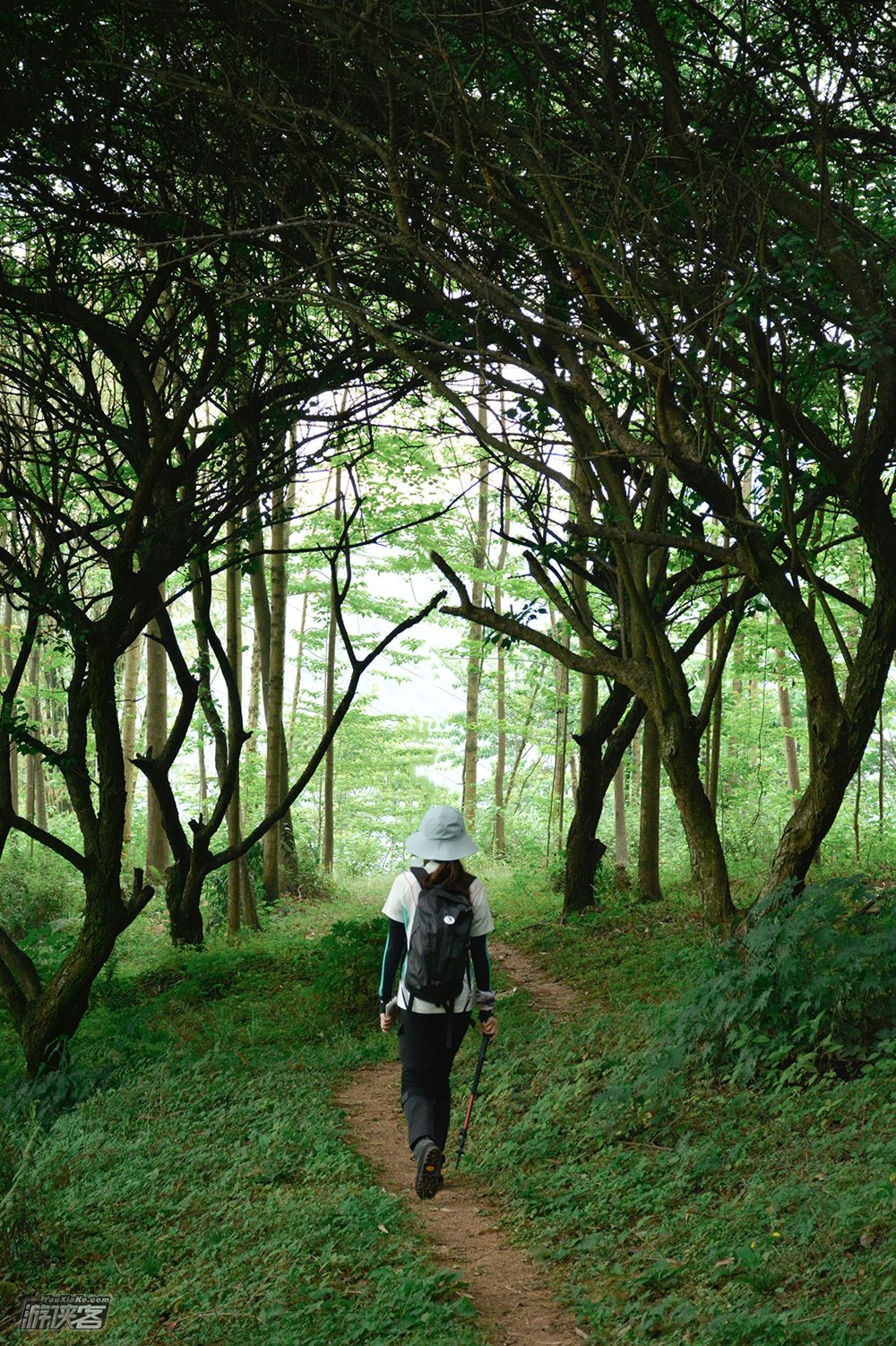 48元特惠·药师岩|山野崖壁轻徒 水乡古镇觅食