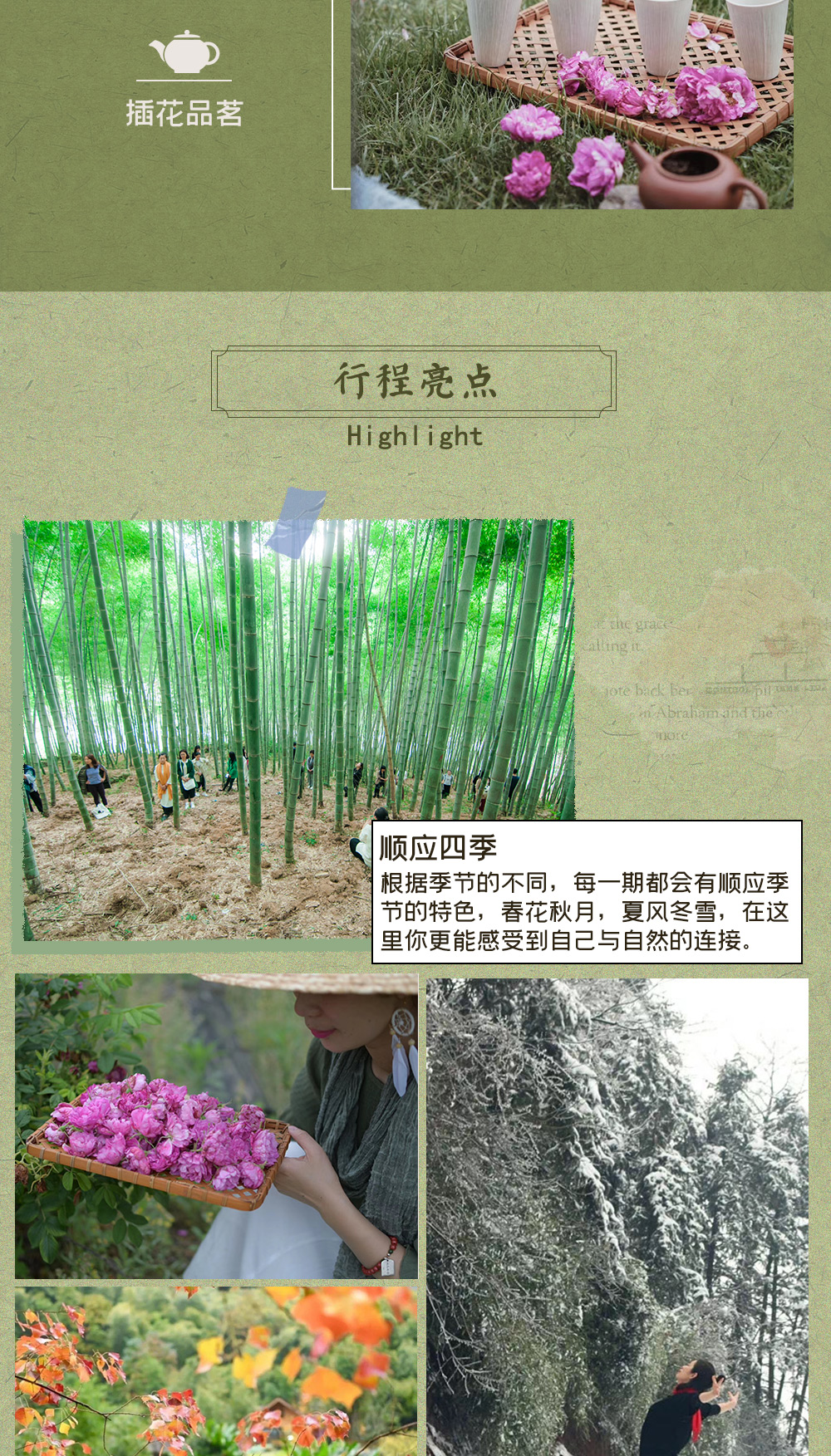 【石舍隐逸静修】2020走进桐庐石舍村，行走于竹林，享户外茶会，草木扎染定制独家记忆，在大自然中体验瑜伽生活，享受3天2晚置身事外的安宁！ - <短途避世>向往的生活，共修导师刘颖带领身心习练