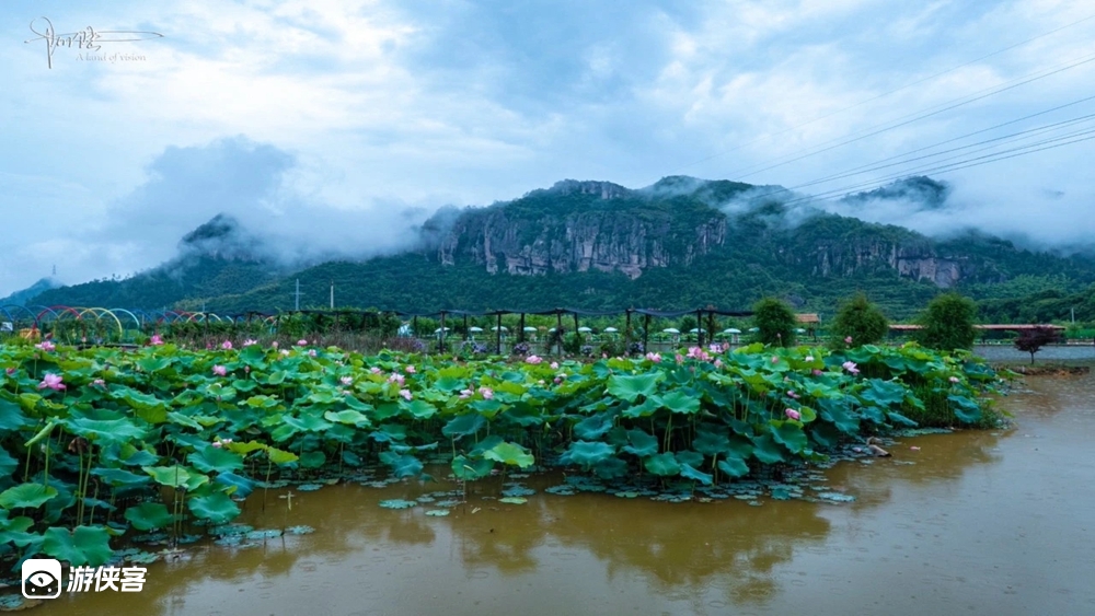 【宝藏小城 · 田园天台】日本人向往的旅行地,寻找华东zui治愈的油菜花田/访隋代国清古刹/自制叫花鸡/草木扎染体验/寻味《小森林》餐厅/在地风味巡礼,静心避世2日