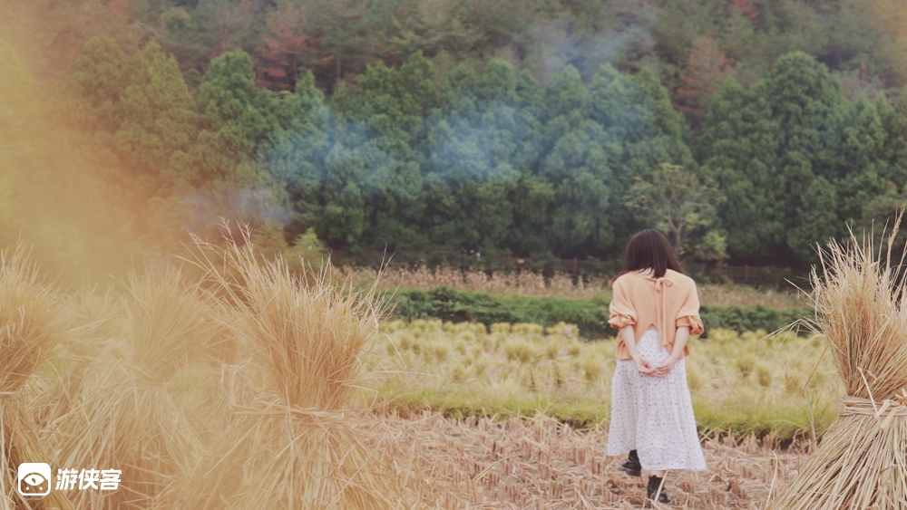 【宝藏小城 · 田园天台】日本人向往的旅行地,寻找华东zui治愈的油菜花田/访隋代国清古刹/自制叫花鸡/草木扎染体验/寻味《小森林》餐厅/在地风味巡礼,静心避世2日