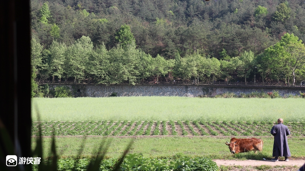 【宝藏小城 · 田园天台】日本人向往的旅行地,寻找华东zui治愈的油菜花田/访隋代国清古刹/自制叫花鸡/草木扎染体验/寻味《小森林》餐厅/在地风味巡礼,静心避世2日