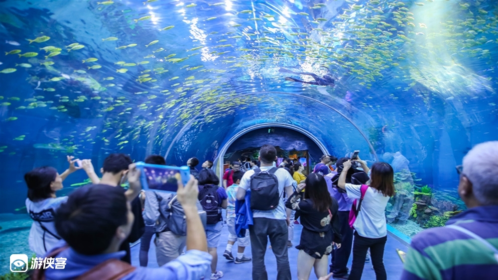 【单订门票 · 上海海昌海洋公园】青春环游记畅销款线路，赠送爱豆同款玩偶 ，门票既订即用 无需取票 刷身份证快速入园