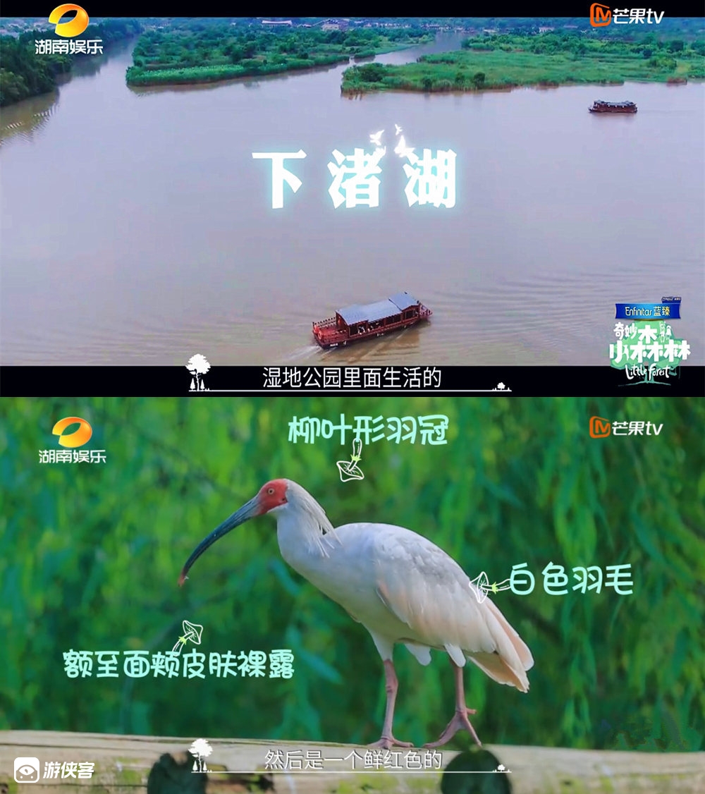 【游侠宝贝·野玩四驱车】五一假期，玩转酷炫四驱车，驰骋鸬鸟山，住林间帐篷+亲子家庭烧烤+露天电影，打卡网红下渚湖湿地迷宫、赏珍禽朱鹮、冰雪世界（自选）