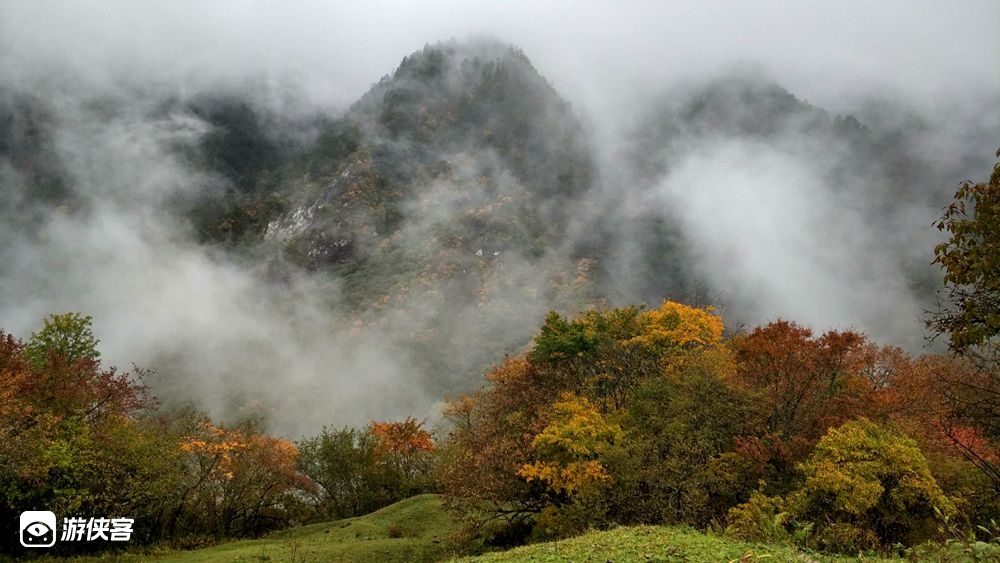 雾凇雪景·卓西牧场|穿越落叶松林 漫步冬季牧场