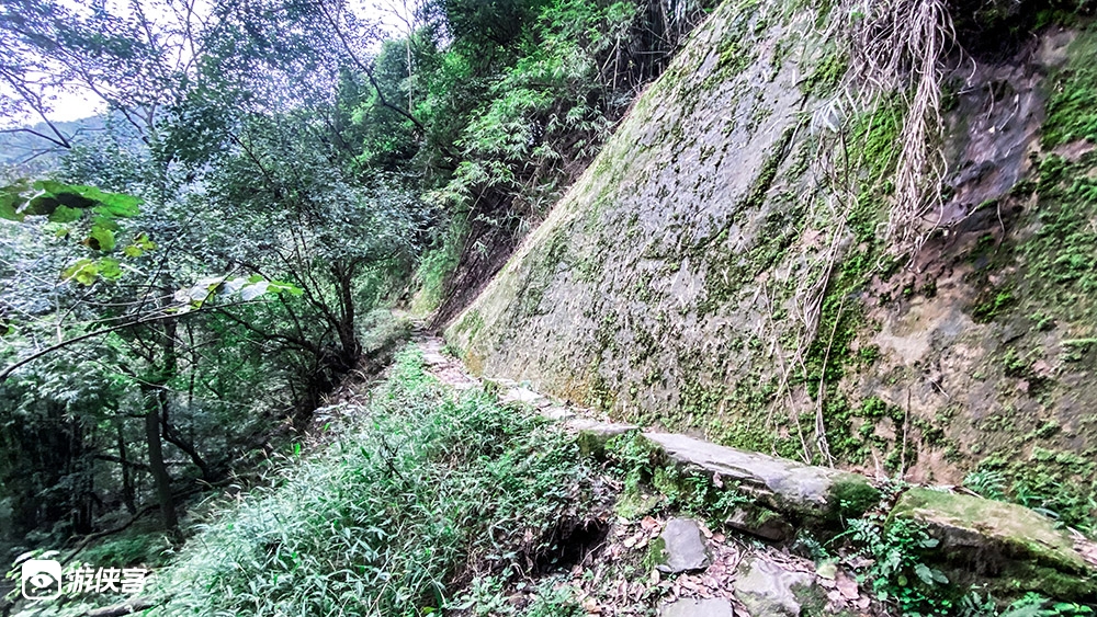 城市徒步·虚灵峰│南山绝壁线路,眺望桥都母城