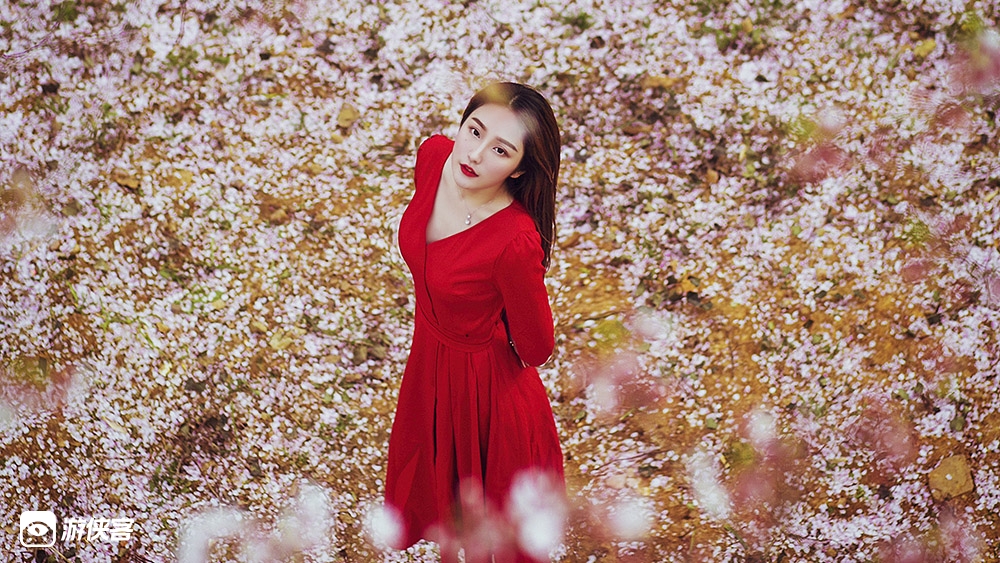 【摄影师带你打卡杭州】踏青赏花 樱花专线，西湖十景“花港观鱼”，探秘西湖小众赏樱地“乌龟潭”带你看西湖醉美春色，2-6人vip小团