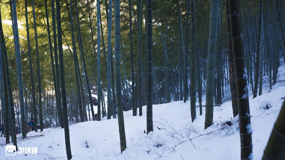 【疾速 · 莫干山-冬季挑战赛】与产品经理/游侠领队组队竞技，赢千元奖金；四城联动，追风逐电，疾速盛会；挑战体能极限，体验越野畅快；为城市而战，为荣誉而战（限时招募）