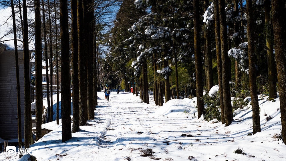 【疾速 · 莫干山-冬季挑战赛】与产品经理/游侠领队组队竞技，赢千元奖金；四城联动，追风逐电，疾速盛会；挑战体能极限，体验越野畅快；为城市而战，为荣誉而战（限时招募）