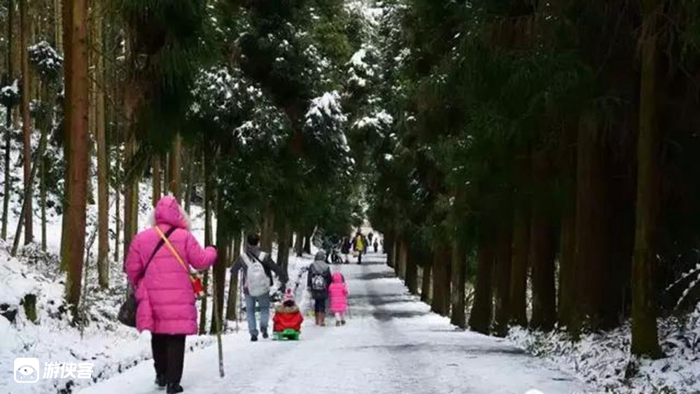 【48元特惠·太阳湾】1.3元旦冰雪太阳湾，走进彭州瑞雪太阳湾，赏雪戏猴看冰瀑，单边5km冰雪森林往返洗肺线路，堆雪人打雪仗冬日玩雪好去处，玩雪休闲1日游