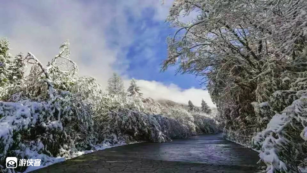 【48元特惠·太阳湾】1.3元旦冰雪太阳湾，走进彭州瑞雪太阳湾，赏雪戏猴看冰瀑，单边5km冰雪森林往返洗肺线路，堆雪人打雪仗冬日玩雪好去处，玩雪休闲1日游